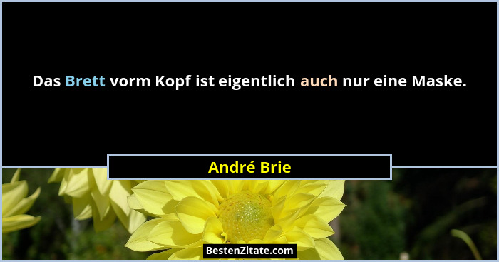 Das Brett vorm Kopf ist eigentlich auch nur eine Maske.... - André Brie