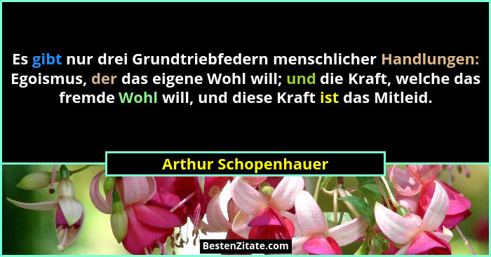 Es gibt nur drei Grundtriebfedern menschlicher Handlungen: Egoismus, der das eigene Wohl will; und die Kraft, welche das fremde... - Arthur Schopenhauer