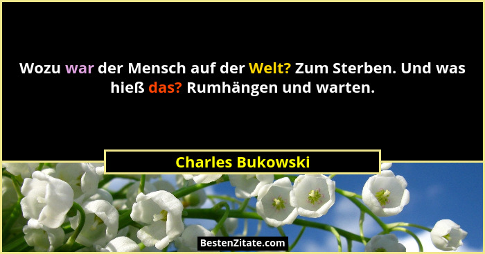 Wozu war der Mensch auf der Welt? Zum Sterben. Und was hieß das? Rumhängen und warten.... - Charles Bukowski