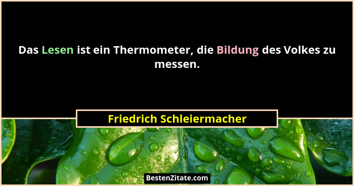 Das Lesen ist ein Thermometer, die Bildung des Volkes zu messen.... - Friedrich Schleiermacher