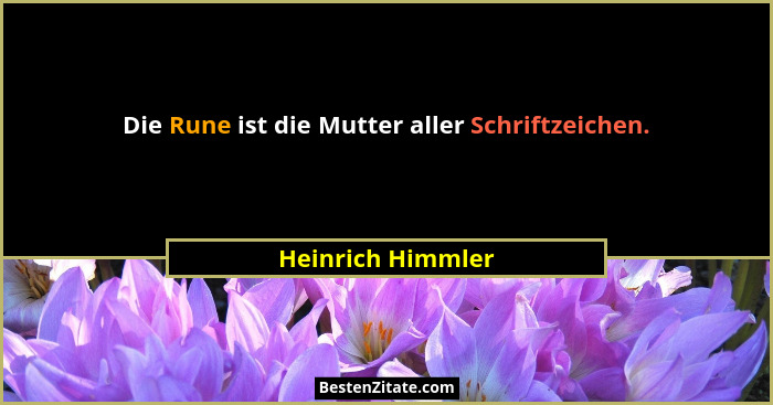 Die Rune ist die Mutter aller Schriftzeichen.... - Heinrich Himmler