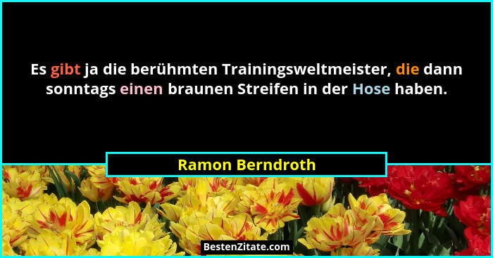 Es gibt ja die berühmten Trainingsweltmeister, die dann sonntags einen braunen Streifen in der Hose haben.... - Ramon Berndroth