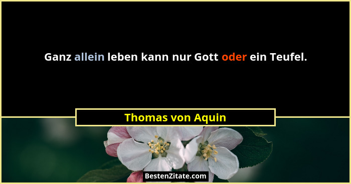 Ganz allein leben kann nur Gott oder ein Teufel.... - Thomas von Aquin