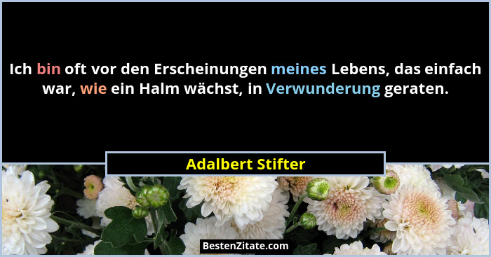 Ich bin oft vor den Erscheinungen meines Lebens, das einfach war, wie ein Halm wächst, in Verwunderung geraten.... - Adalbert Stifter