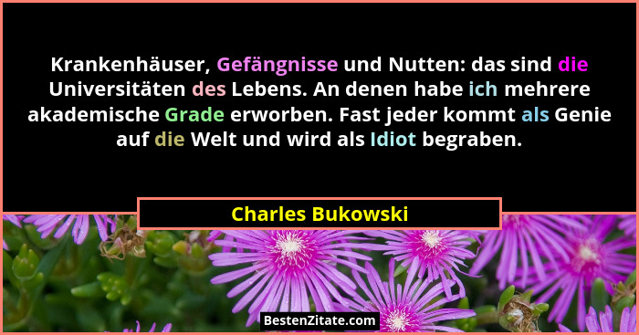 Krankenhäuser, Gefängnisse und Nutten: das sind die Universitäten des Lebens. An denen habe ich mehrere akademische Grade erworben.... - Charles Bukowski