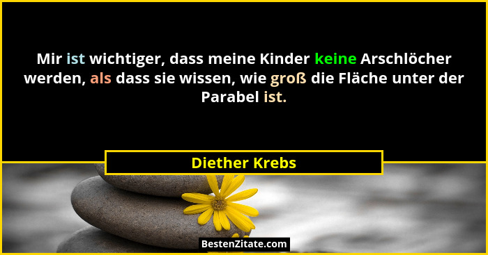 Mir ist wichtiger, dass meine Kinder keine Arschlöcher werden, als dass sie wissen, wie groß die Fläche unter der Parabel ist.... - Diether Krebs