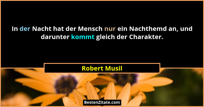 In der Nacht hat der Mensch nur ein Nachthemd an, und darunter kommt gleich der Charakter.... - Robert Musil