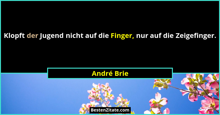 Klopft der Jugend nicht auf die Finger, nur auf die Zeigefinger.... - André Brie