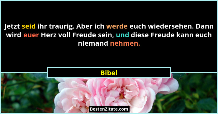 Jetzt seid ihr traurig. Aber ich werde euch wiedersehen. Dann wird euer Herz voll Freude sein, und diese Freude kann euch niemand nehmen.... - Bibel