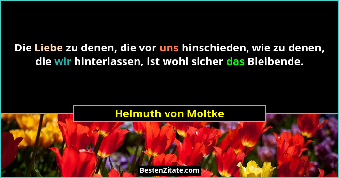 Die Liebe zu denen, die vor uns hinschieden, wie zu denen, die wir hinterlassen, ist wohl sicher das Bleibende.... - Helmuth von Moltke