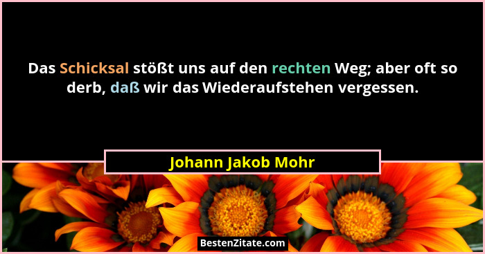 Das Schicksal stößt uns auf den rechten Weg; aber oft so derb, daß wir das Wiederaufstehen vergessen.... - Johann Jakob Mohr