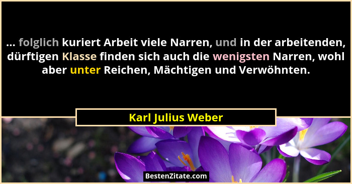 ... folglich kuriert Arbeit viele Narren, und in der arbeitenden, dürftigen Klasse finden sich auch die wenigsten Narren, wohl abe... - Karl Julius Weber