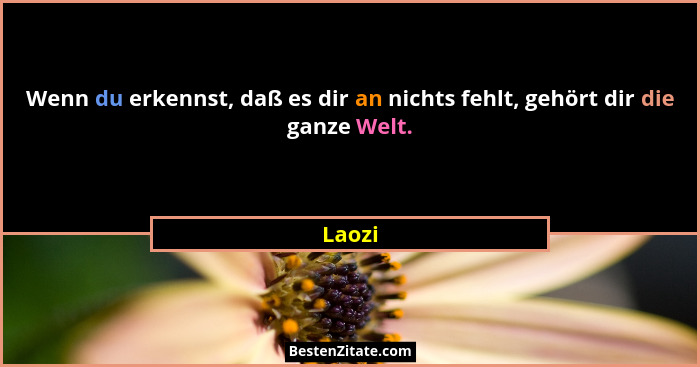 Wenn du erkennst, daß es dir an nichts fehlt, gehört dir die ganze Welt.... - Laozi