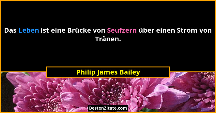 Das Leben ist eine Brücke von Seufzern über einen Strom von Tränen.... - Philip James Bailey
