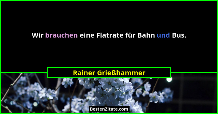 Wir brauchen eine Flatrate für Bahn und Bus.... - Rainer Grießhammer