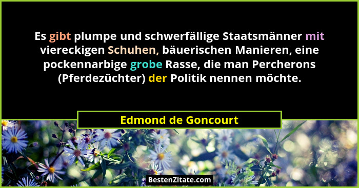 Es gibt plumpe und schwerfällige Staatsmänner mit viereckigen Schuhen, bäuerischen Manieren, eine pockennarbige grobe Rasse, die... - Edmond de Goncourt