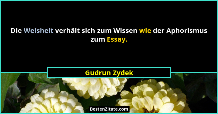Die Weisheit verhält sich zum Wissen wie der Aphorismus zum Essay.... - Gudrun Zydek
