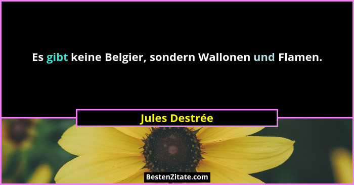 Es gibt keine Belgier, sondern Wallonen und Flamen.... - Jules Destrée
