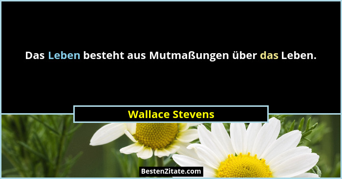 Das Leben besteht aus Mutmaßungen über das Leben.... - Wallace Stevens