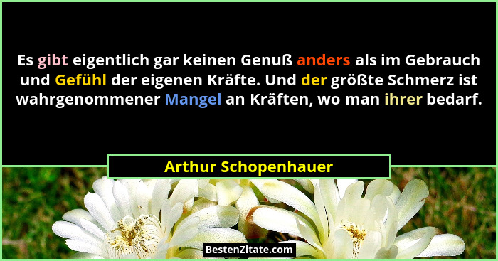 Es gibt eigentlich gar keinen Genuß anders als im Gebrauch und Gefühl der eigenen Kräfte. Und der größte Schmerz ist wahrgenomme... - Arthur Schopenhauer
