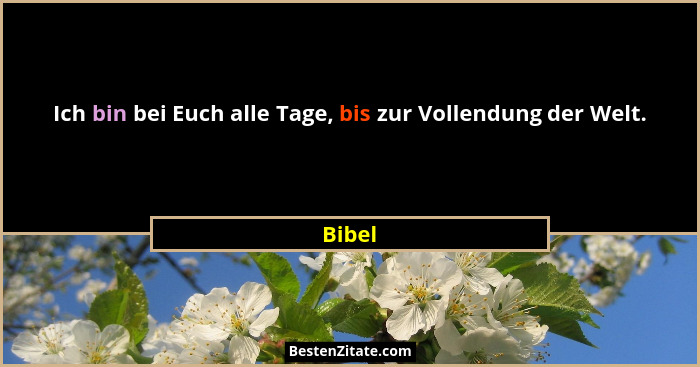Ich bin bei Euch alle Tage, bis zur Vollendung der Welt.... - Bibel