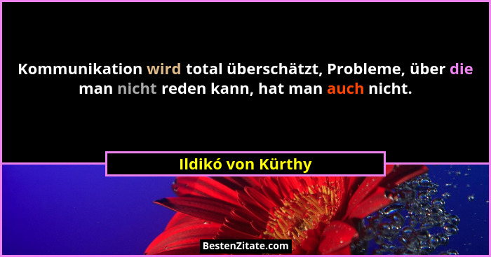 Kommunikation wird total überschätzt, Probleme, über die man nicht reden kann, hat man auch nicht.... - Ildikó von Kürthy