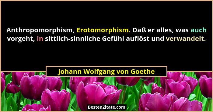 Anthropomorphism, Erotomorphism. Daß er alles, was auch vorgeht, in sittlich-sinnliche Gefühl auflöst und verwandelt.... - Johann Wolfgang von Goethe