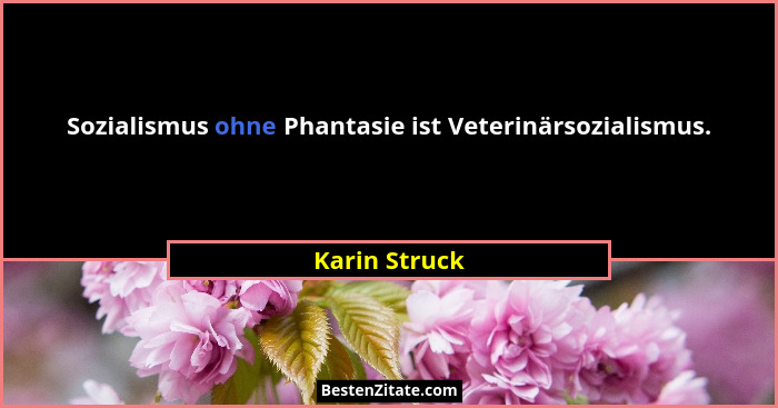 Sozialismus ohne Phantasie ist Veterinärsozialismus.... - Karin Struck
