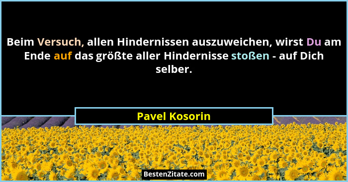 Beim Versuch, allen Hindernissen auszuweichen, wirst Du am Ende auf das größte aller Hindernisse stoßen - auf Dich selber.... - Pavel Kosorin