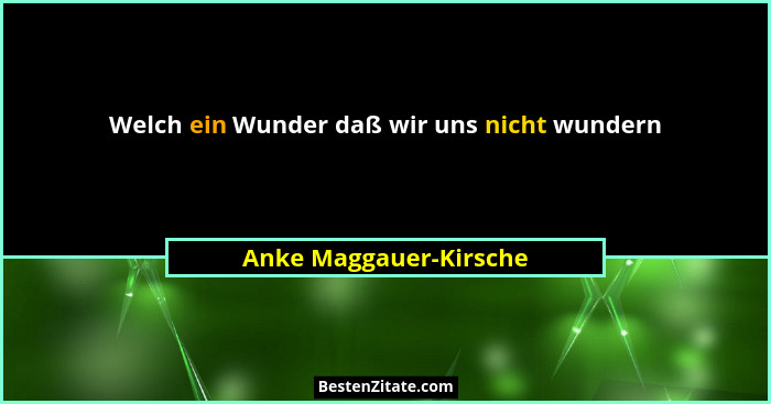 Welch ein Wunder daß wir uns nicht wundern... - Anke Maggauer-Kirsche