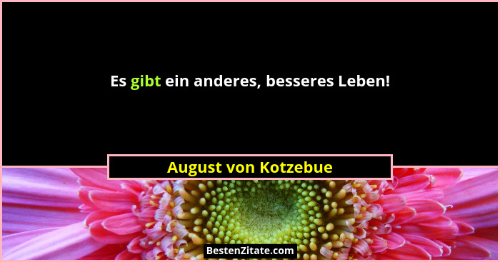 Es gibt ein anderes, besseres Leben!... - August von Kotzebue