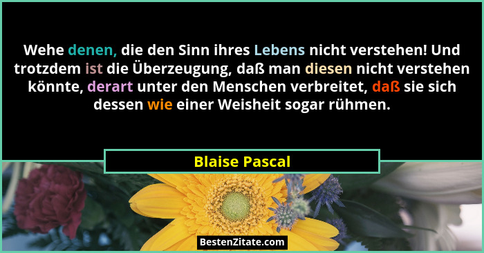 Wehe denen, die den Sinn ihres Lebens nicht verstehen! Und trotzdem ist die Überzeugung, daß man diesen nicht verstehen könnte, derart... - Blaise Pascal