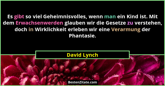 Es gibt so viel Geheimnisvolles, wenn man ein Kind ist. Mit dem Erwachsenwerden glauben wir die Gesetze zu verstehen, doch in Wirklichke... - David Lynch