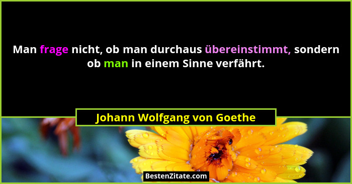 Man frage nicht, ob man durchaus übereinstimmt, sondern ob man in einem Sinne verfährt.... - Johann Wolfgang von Goethe