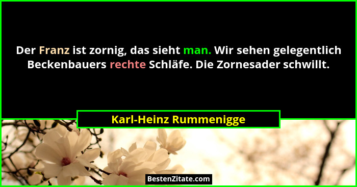 Der Franz ist zornig, das sieht man. Wir sehen gelegentlich Beckenbauers rechte Schläfe. Die Zornesader schwillt.... - Karl-Heinz Rummenigge