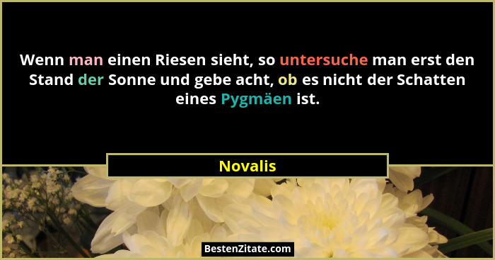Wenn man einen Riesen sieht, so untersuche man erst den Stand der Sonne und gebe acht, ob es nicht der Schatten eines Pygmäen ist.... - Novalis