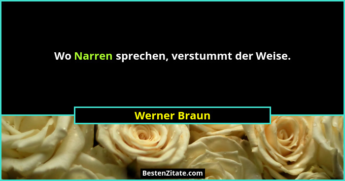 Wo Narren sprechen, verstummt der Weise.... - Werner Braun