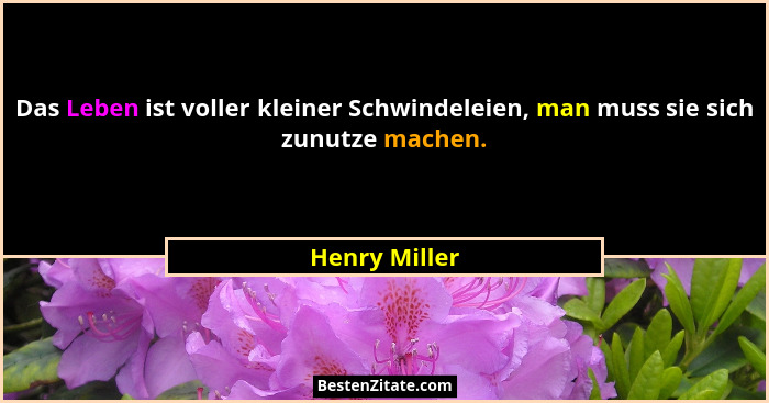 Das Leben ist voller kleiner Schwindeleien, man muss sie sich zunutze machen.... - Henry Miller