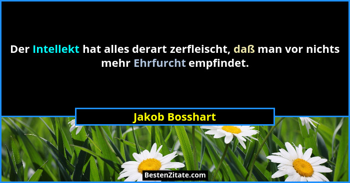 Der Intellekt hat alles derart zerfleischt, daß man vor nichts mehr Ehrfurcht empfindet.... - Jakob Bosshart