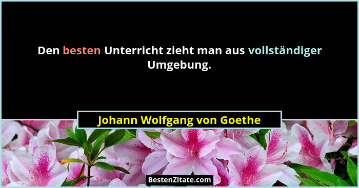 Den besten Unterricht zieht man aus vollständiger Umgebung.... - Johann Wolfgang von Goethe