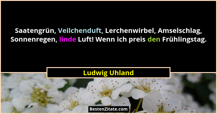 Saatengrün, Veilchenduft, Lerchenwirbel, Amselschlag, Sonnenregen, linde Luft! Wenn ich preis den Frühlingstag.... - Ludwig Uhland