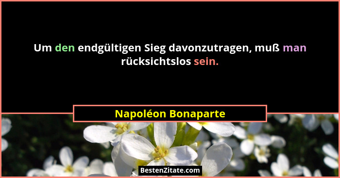 Um den endgültigen Sieg davonzutragen, muß man rücksichtslos sein.... - Napoléon Bonaparte