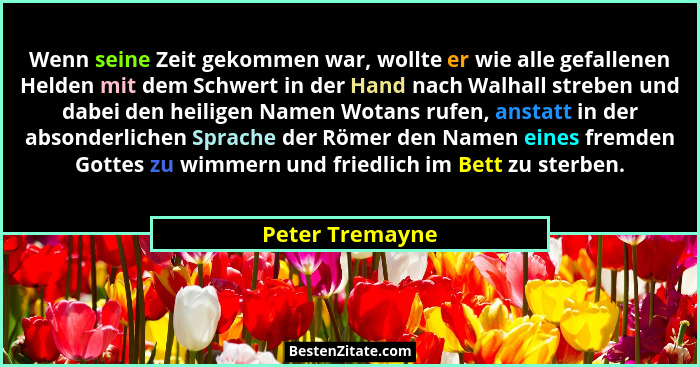 Wenn seine Zeit gekommen war, wollte er wie alle gefallenen Helden mit dem Schwert in der Hand nach Walhall streben und dabei den hei... - Peter Tremayne