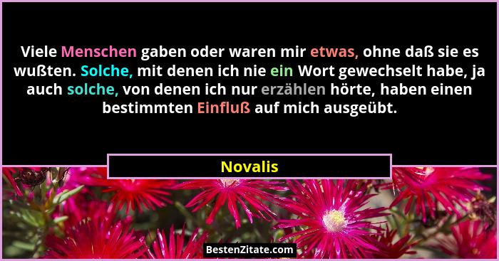 Viele Menschen gaben oder waren mir etwas, ohne daß sie es wußten. Solche, mit denen ich nie ein Wort gewechselt habe, ja auch solche, von d... - Novalis