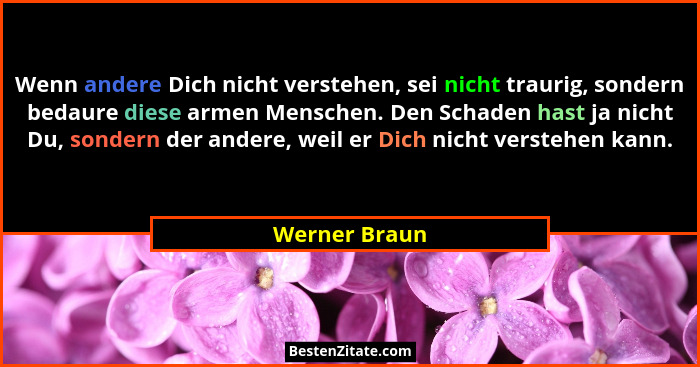 Wenn andere Dich nicht verstehen, sei nicht traurig, sondern bedaure diese armen Menschen. Den Schaden hast ja nicht Du, sondern der an... - Werner Braun