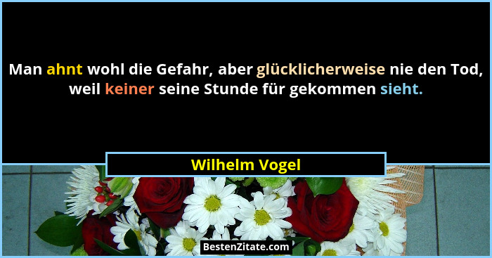 Man ahnt wohl die Gefahr, aber glücklicherweise nie den Tod, weil keiner seine Stunde für gekommen sieht.... - Wilhelm Vogel