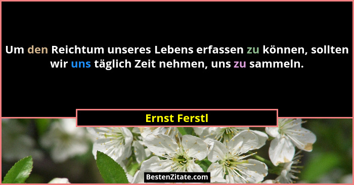 Um den Reichtum unseres Lebens erfassen zu können, sollten wir uns täglich Zeit nehmen, uns zu sammeln.... - Ernst Ferstl