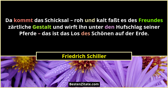 Da kommt das Schicksal – roh und kalt faßt es des Freundes zärtliche Gestalt und wirft ihn unter den Hufschlag seiner Pferde – da... - Friedrich Schiller