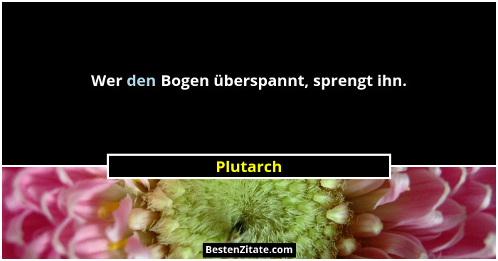 Wer den Bogen überspannt, sprengt ihn.... - Plutarch