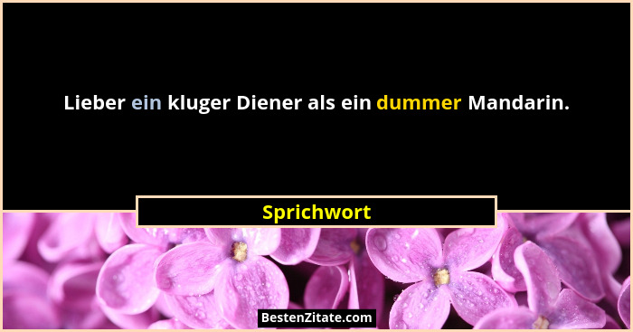 Lieber ein kluger Diener als ein dummer Mandarin.... - Sprichwort